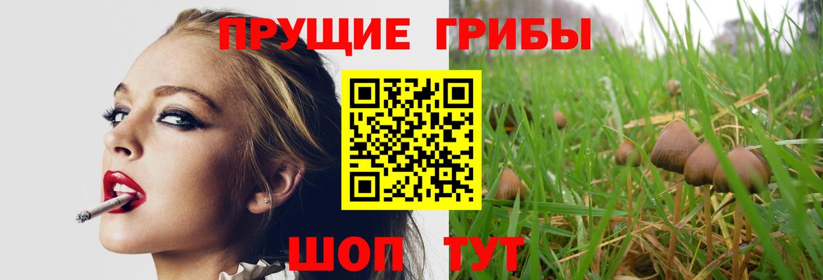 Псилоцибиновые грибы Magic Shrooms  Вход с VPN  Троицк  Псилоцибиновые грибы MAGIC MUSHROOMS 